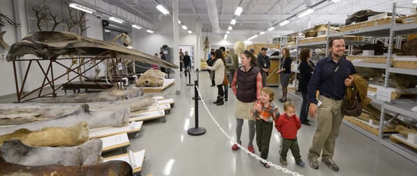 The whale bones in the Large Skeleton Room are one highlights of the open house. Martin Lipman © Canadian Museum of Nature