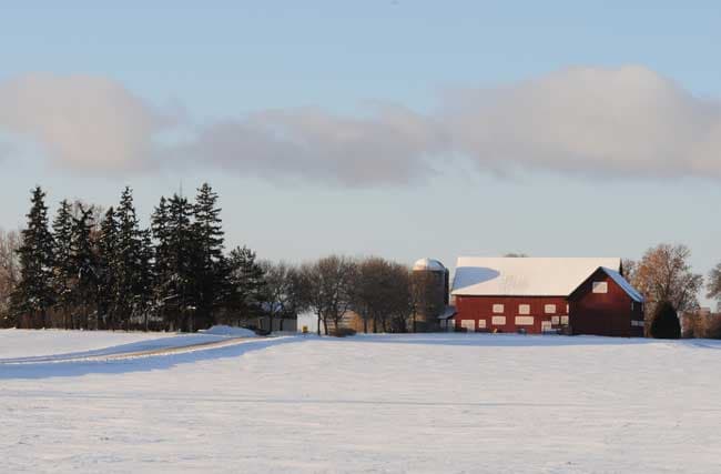 Protect the Farm