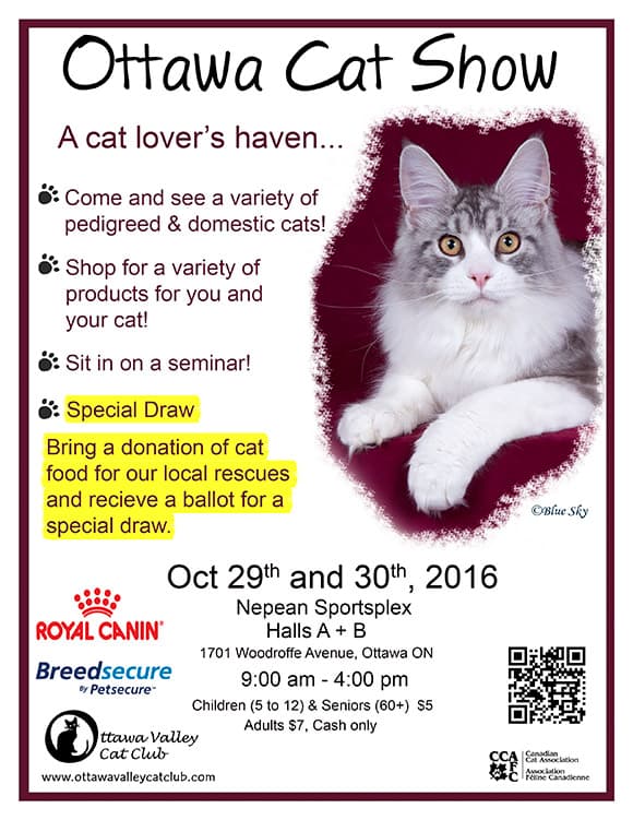 Ottawa 2016 Cat Show